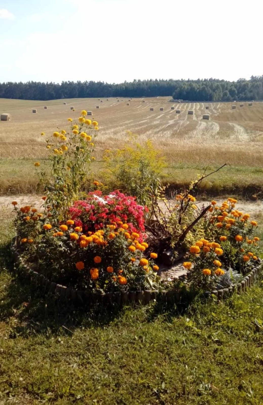 Wczasy Na Kaszubach U Hani Wiele Extérieur photo